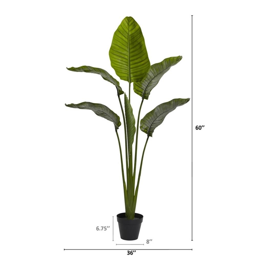 Pemberly Row Indoor/Outdoor 60″ Travelers Palm Tree UV Resistant – Green/Black