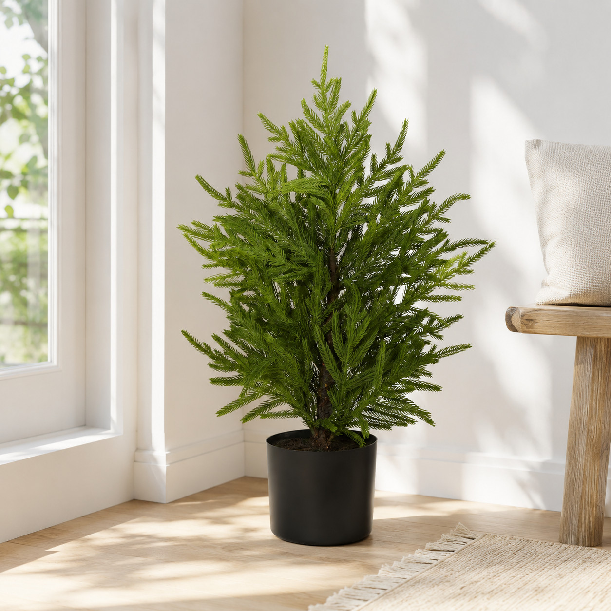 2′ Norfolk Island Pine “Natural Look” Tree in Planter