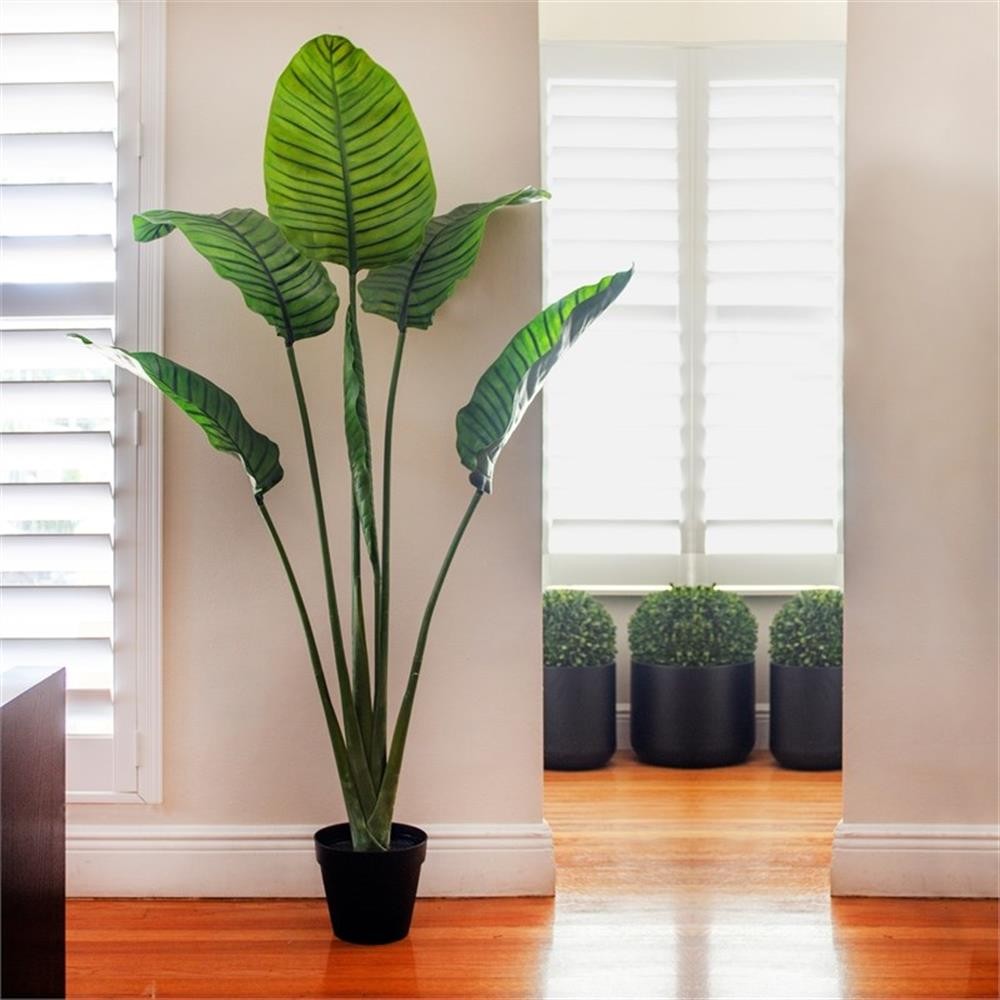 Pemberly Row Indoor/Outdoor 60″ Travelers Palm Tree UV Resistant – Green/Black
