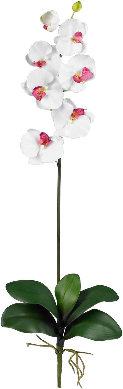 Set of 12 Phalaenopsis Orchid Stems – Perfect for Floral Arrangements!
