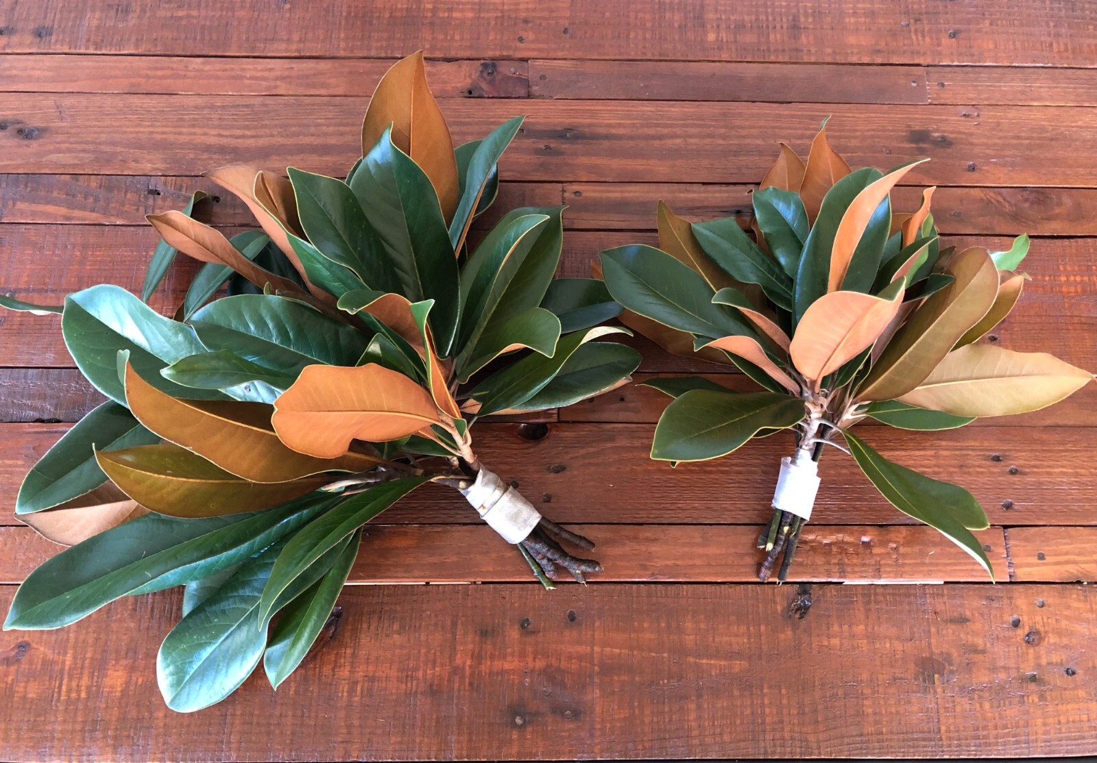 Fresh Magnolia Leaves for Wedding Decor, Table Centerpiece, Wreaths