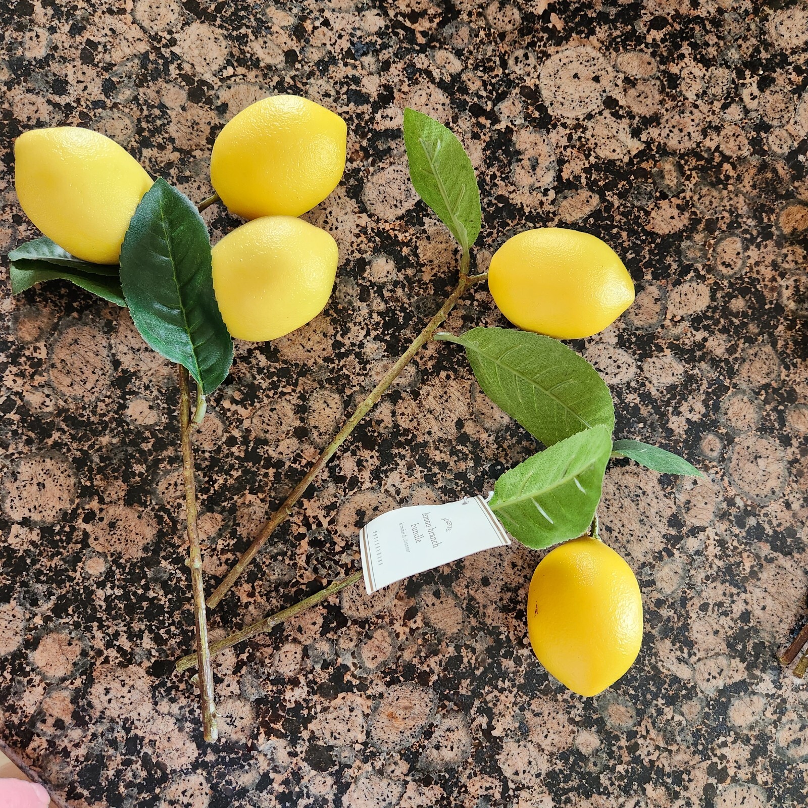 RARE NEW Pottery Barn Faux Lemon Pick Stems Leaves bundle