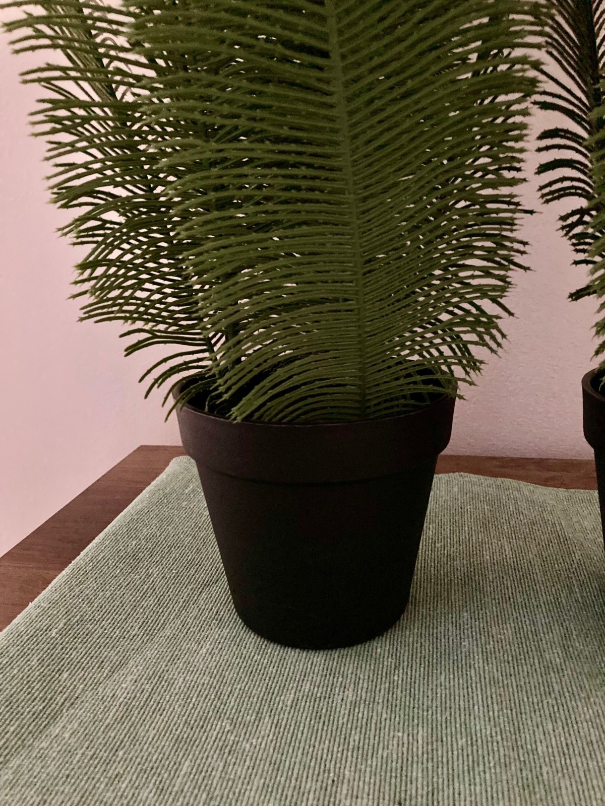 Faux Greenery Artificial Fern Home Decor Set of Two