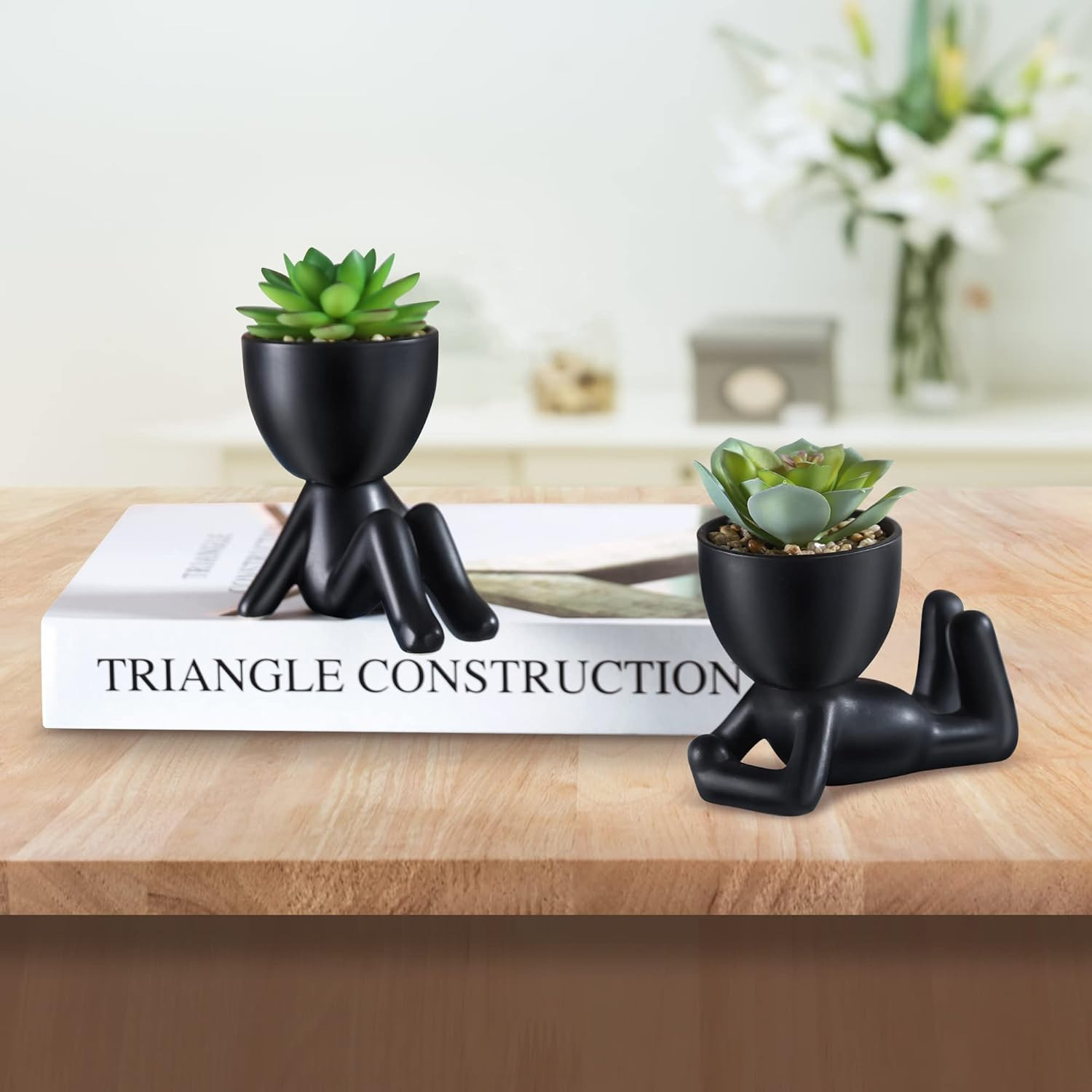 Fake Succulent, Mini Succulents Plants Artificial in Black Modern Human Shaped C