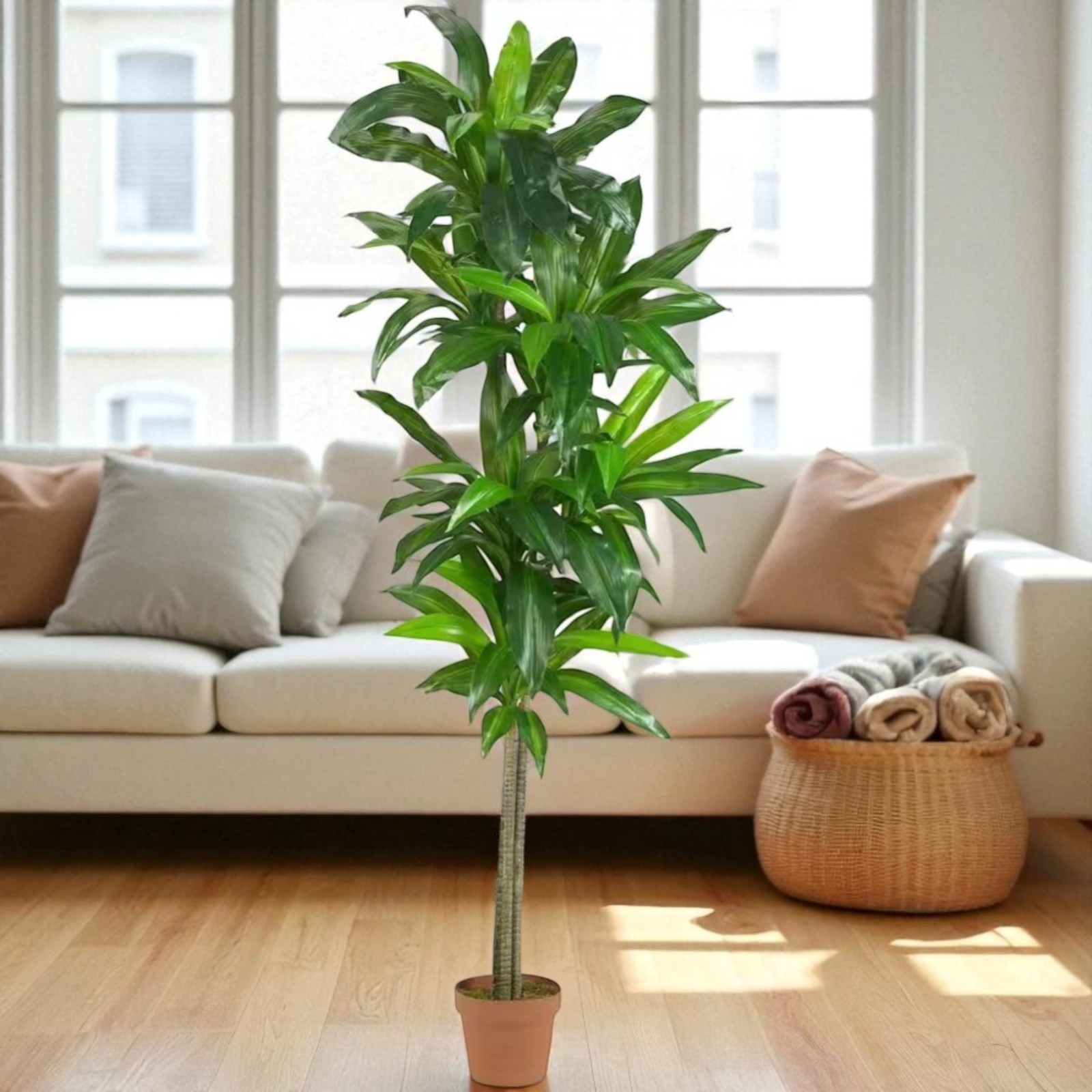 Nearly Natural Artificial Dracaena Silk Plant 6 ft. Height Classic Brown Pot
