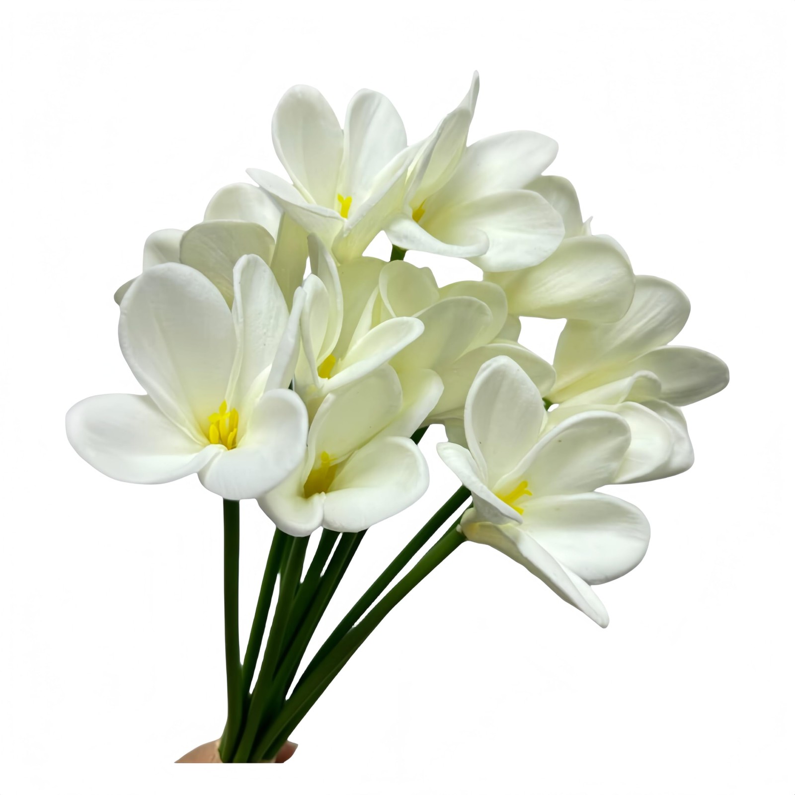 10 pc White Artificial Plumeria Flowers with Stems,13inch Real Touch Lifelike…
