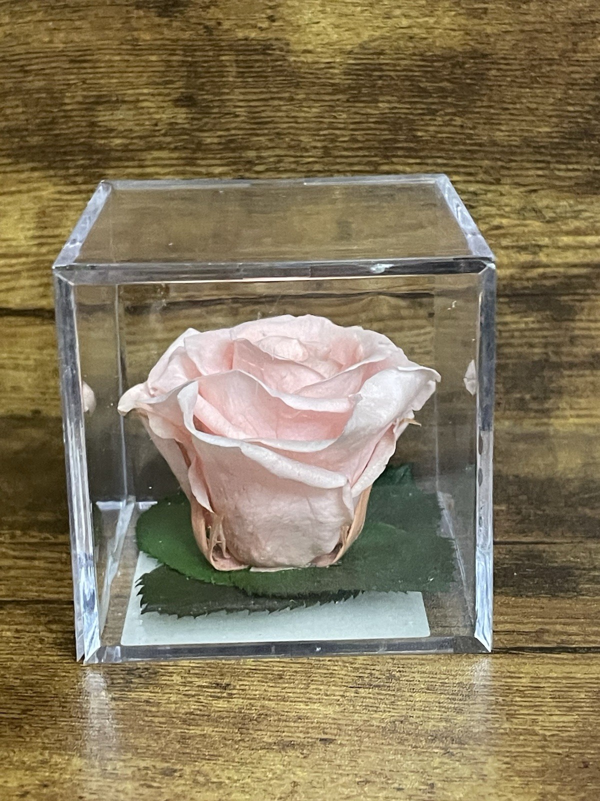 Verdissimo Preserved Rose Head in a Clear Acrylic Cube Light Pink Standard Size