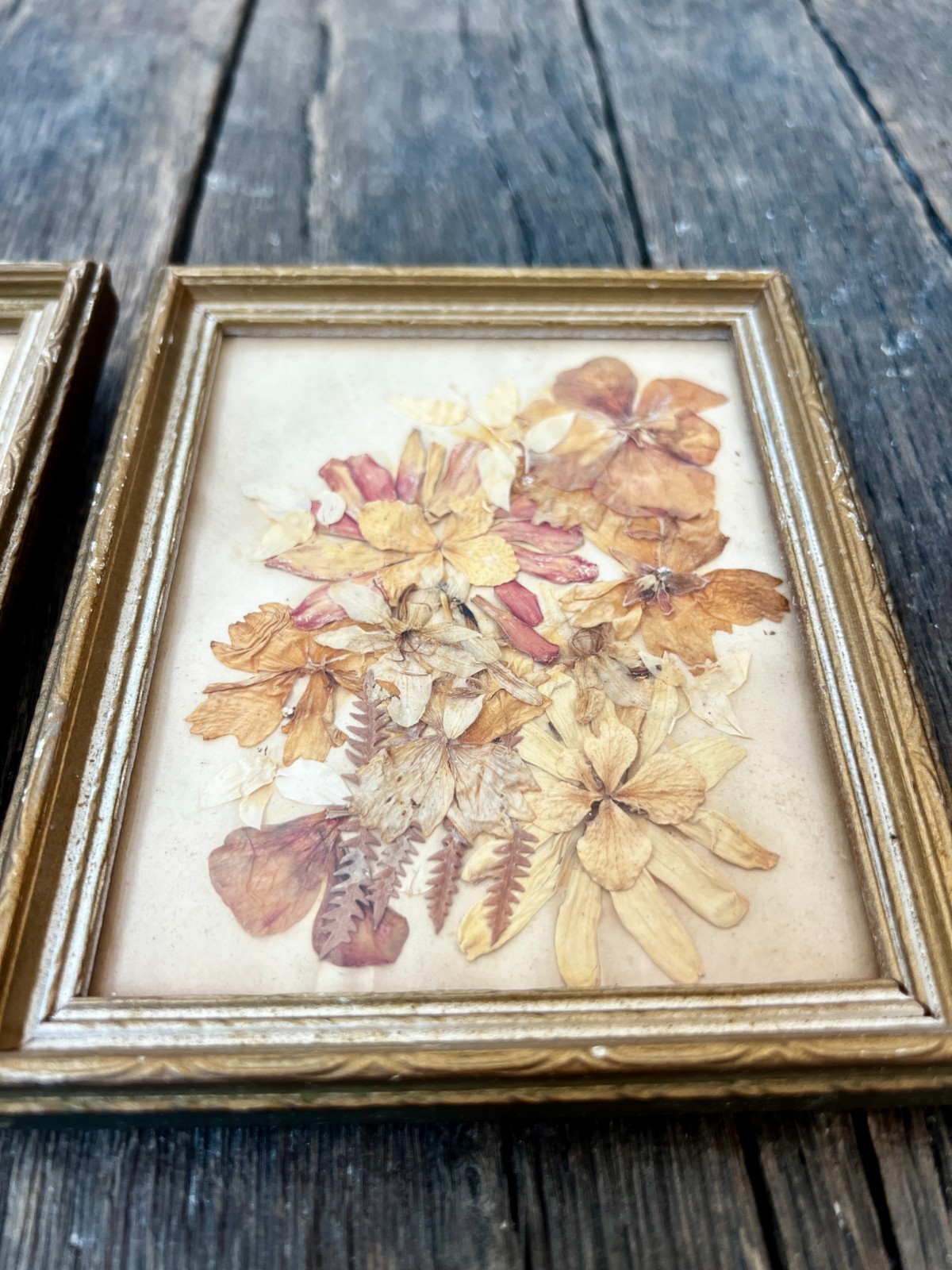 Vintage Dried Flower Artwork Set – Gold Wood Frame Wall Art (5 3/4″)