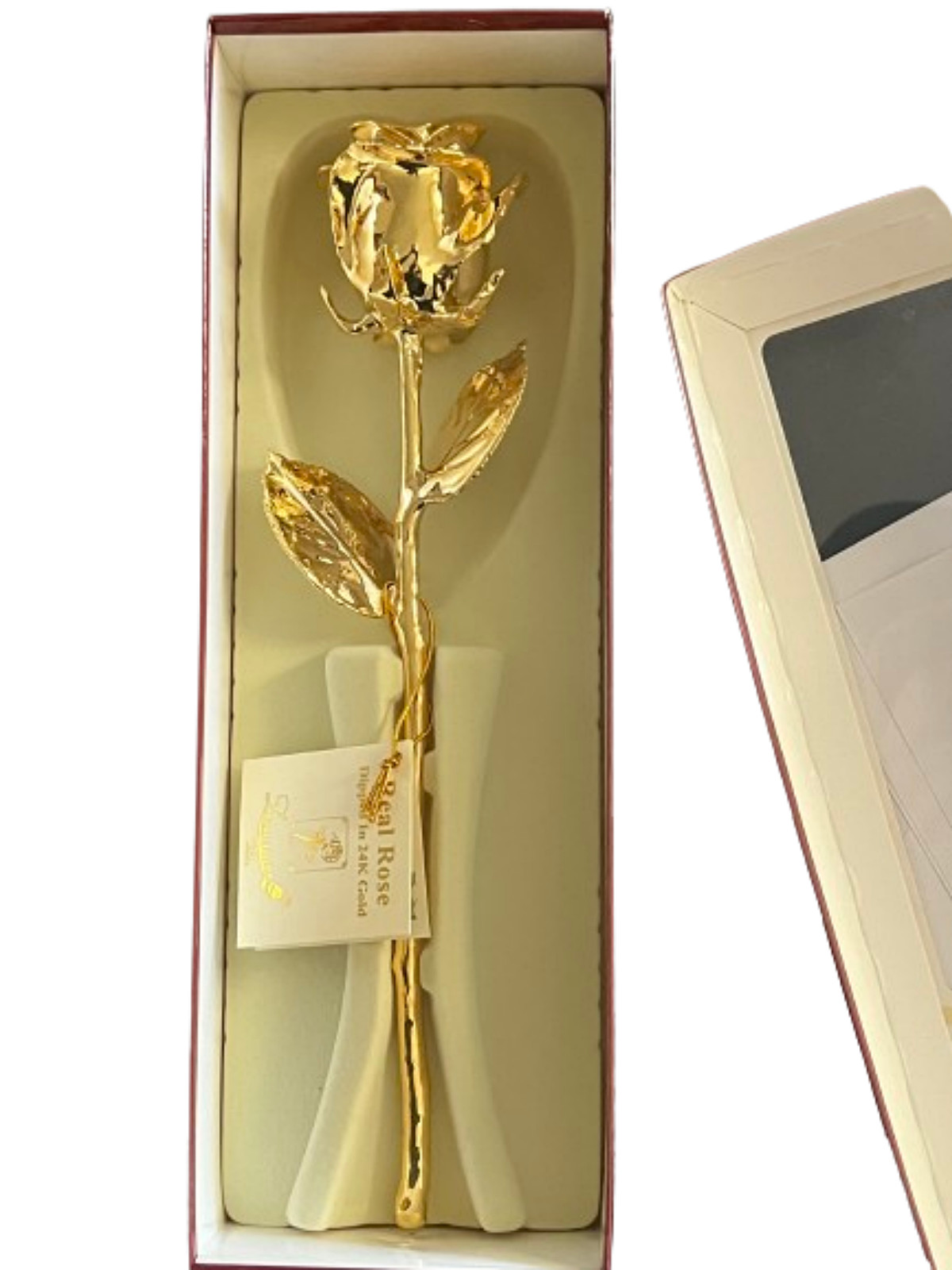 24K Gold Dipped Real Rose Handpicked Real Rose Preserved in 24K Gold USA