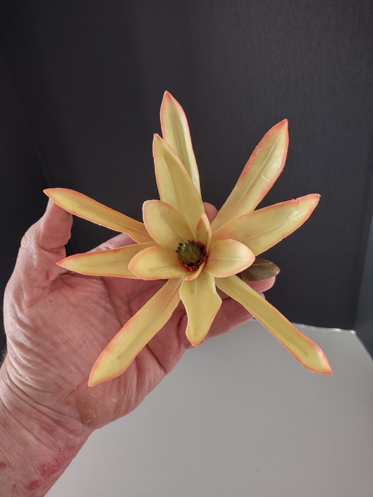 Artificial vintage star protea stems