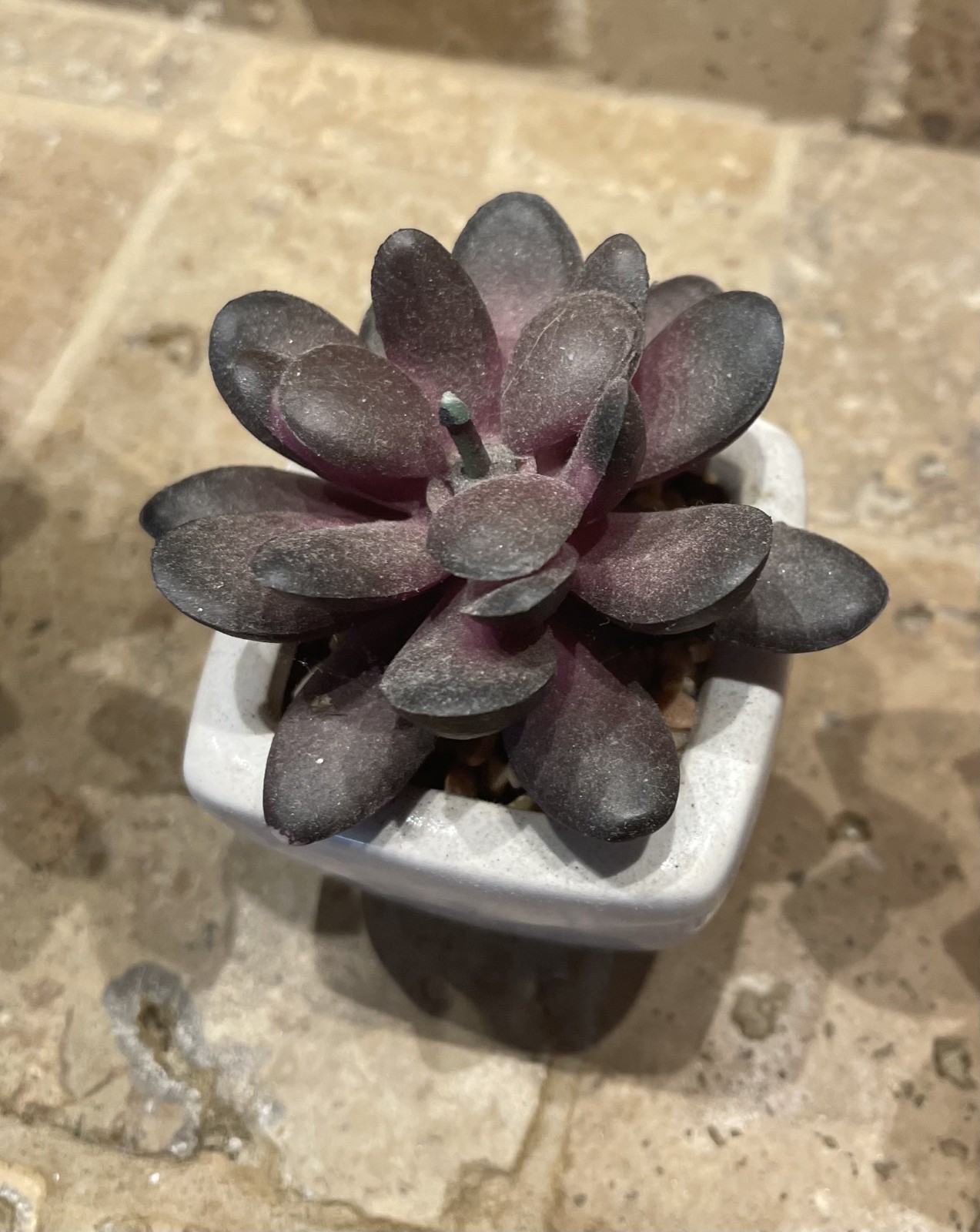Lot of 5 artificial succulents in small white ceramic pots