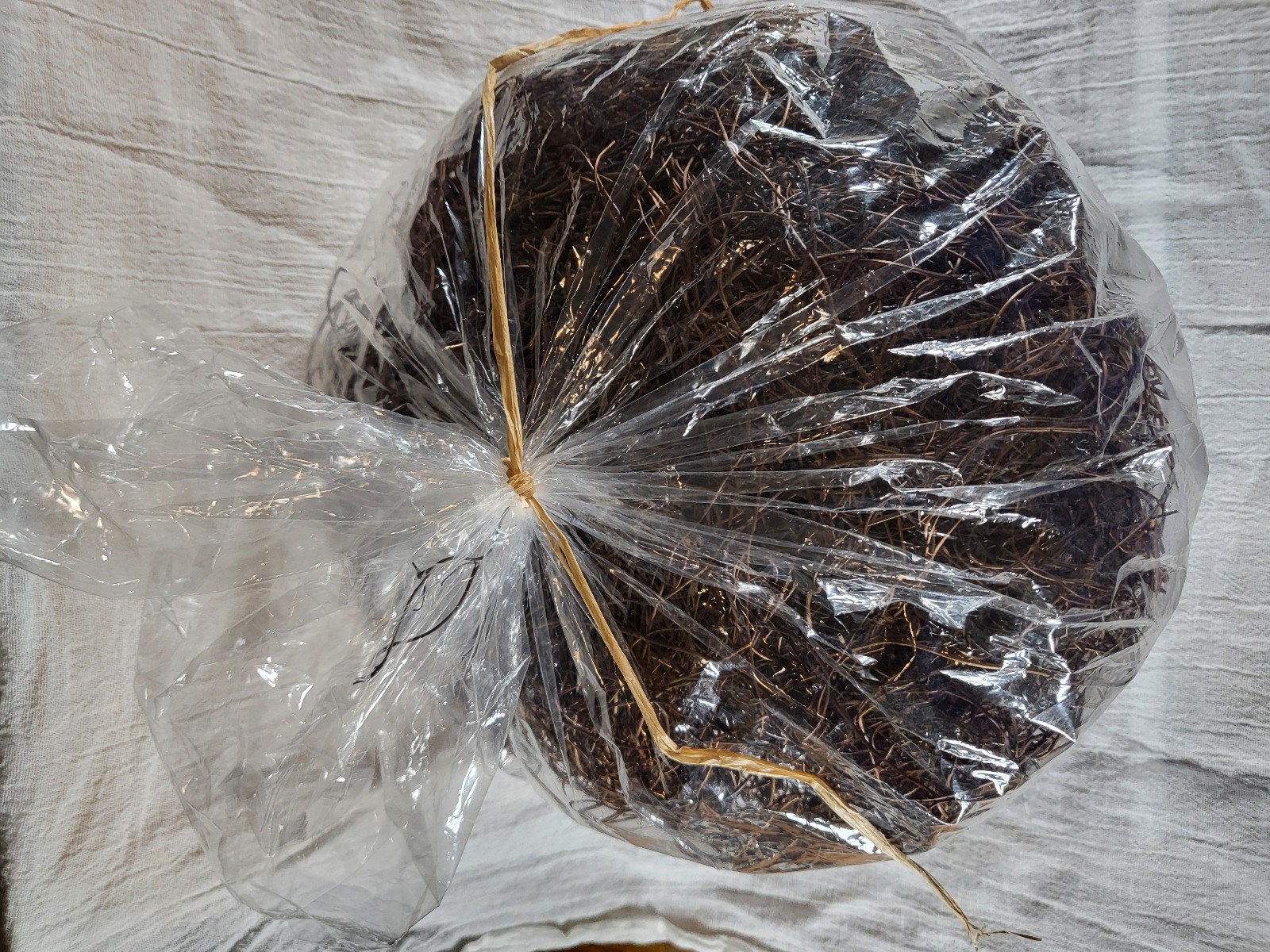 Angel Vine 15oz Bag New