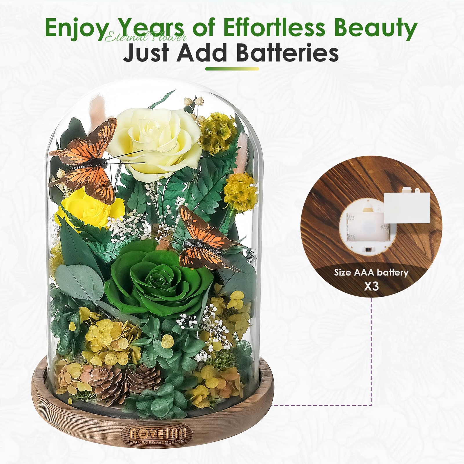 Preserved Flowers in Glass Dome – Eternal Rose Arrangement with Real Preserve…