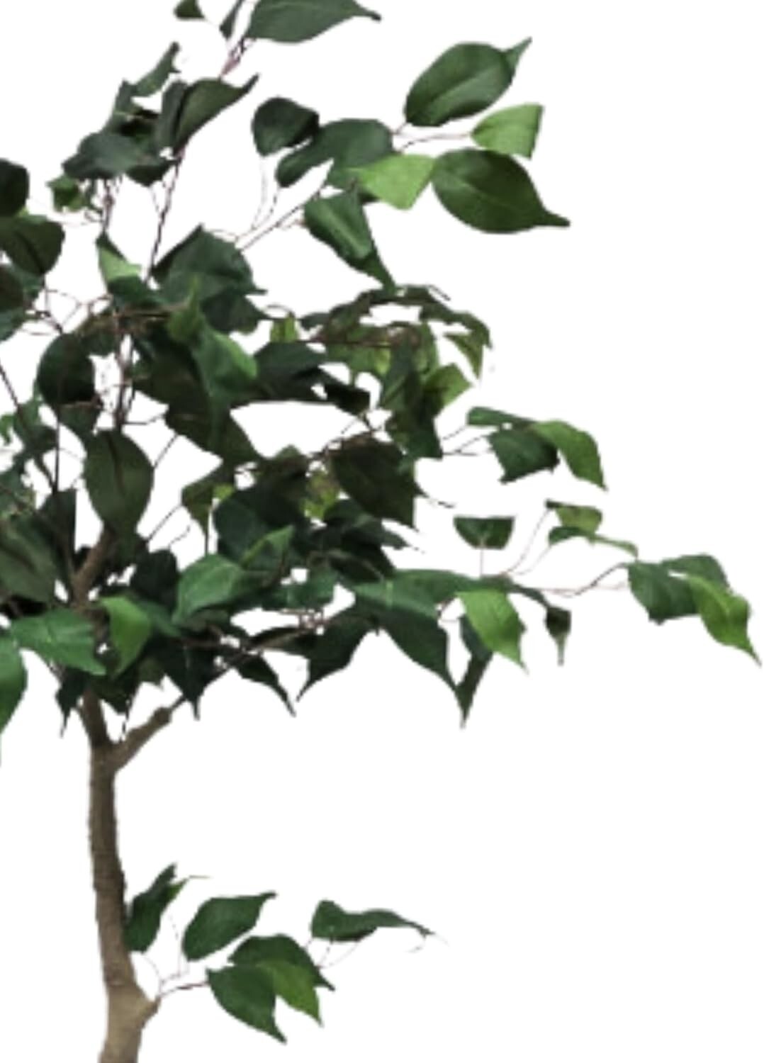 Moss & Bloom 4ft Artificial Ficus Tree in Planter Full Natural