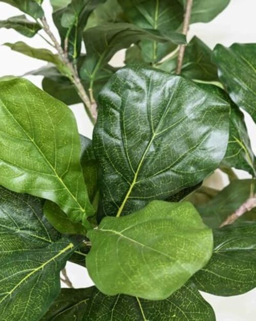 Artificial Fiddle Leaf Fig Tree 6FT – Large Fake Tree with White 6ft Green