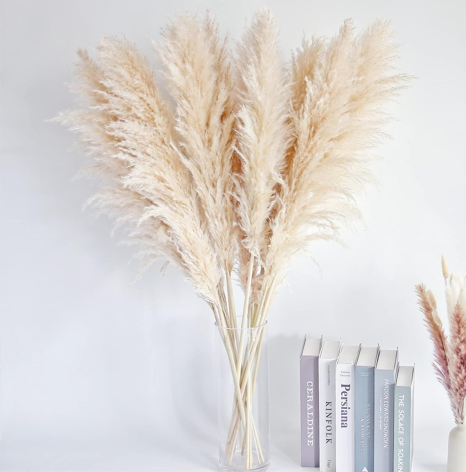 40″ Pampas Grass Stems – Natural Decor for Weddings, Parties & Boho Homes