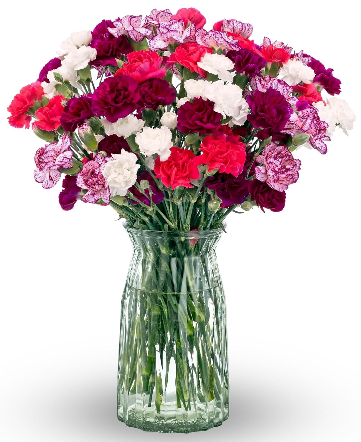 Benchmark Bouquets – Spring Mini Carnations – Fresh Flowers for Delivery – Mini