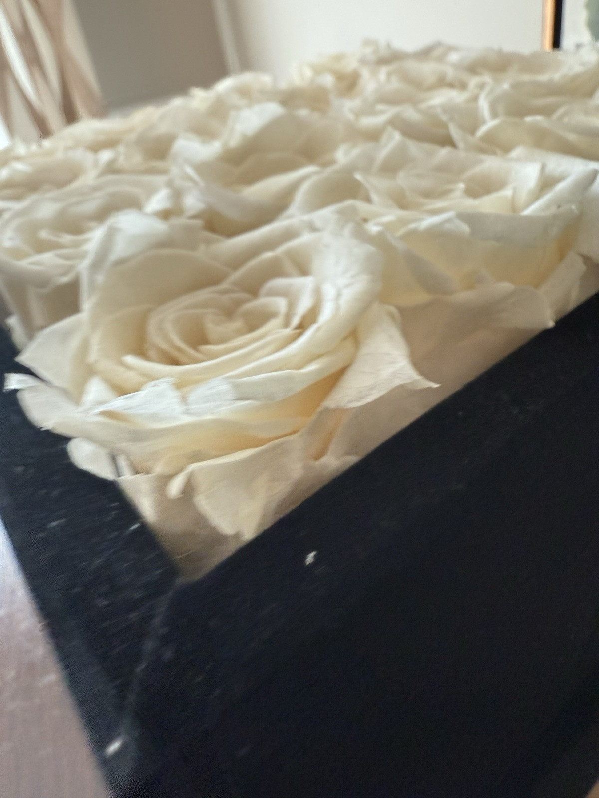Rose Forever New York Real Preserved 16 White Roses Rose Black Velvet Square Box