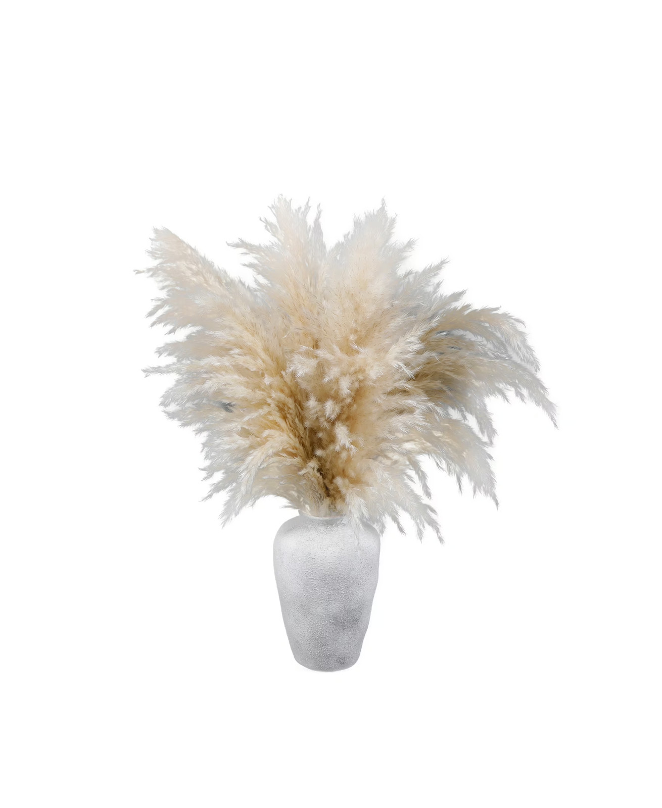22-Inch Pampas Grass Arrangement in Natural Ceramic Vase for Modern or Boho Spac