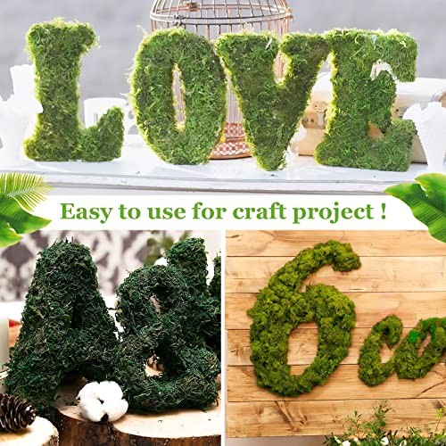 1.3LBS Artificial Fake Moss for Fake Plants Indoor- Premium Faux Craft 1.3lb