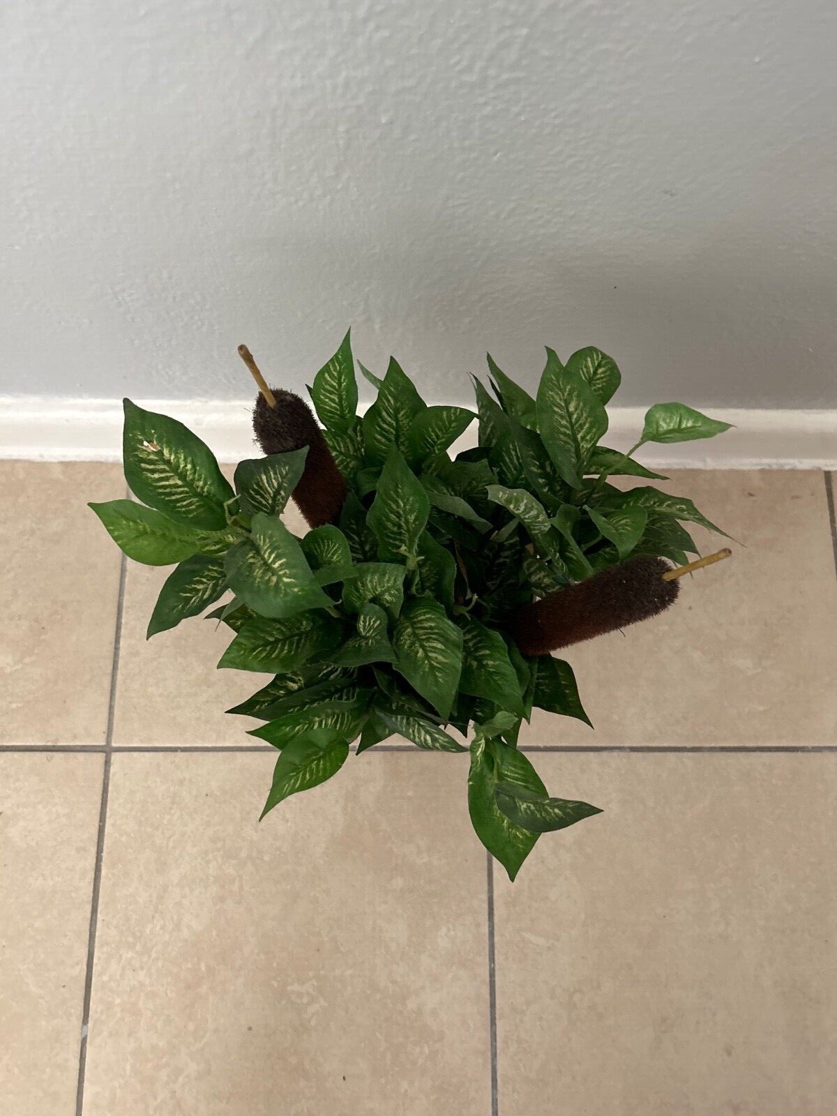 Fake house plant with vase included. Vibrant green colors. Beautiful vase color.