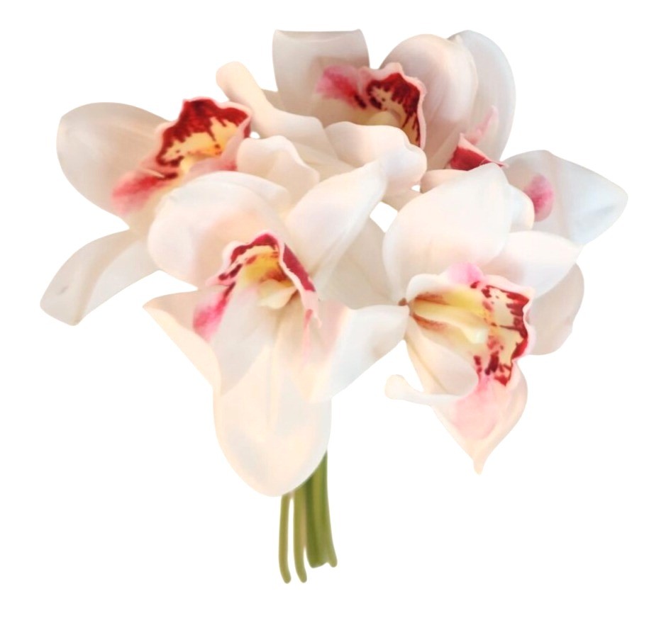 Artificial Cymbidium Orchid Stems White Blush Pink Faux Orchid Bouquet Realistic
