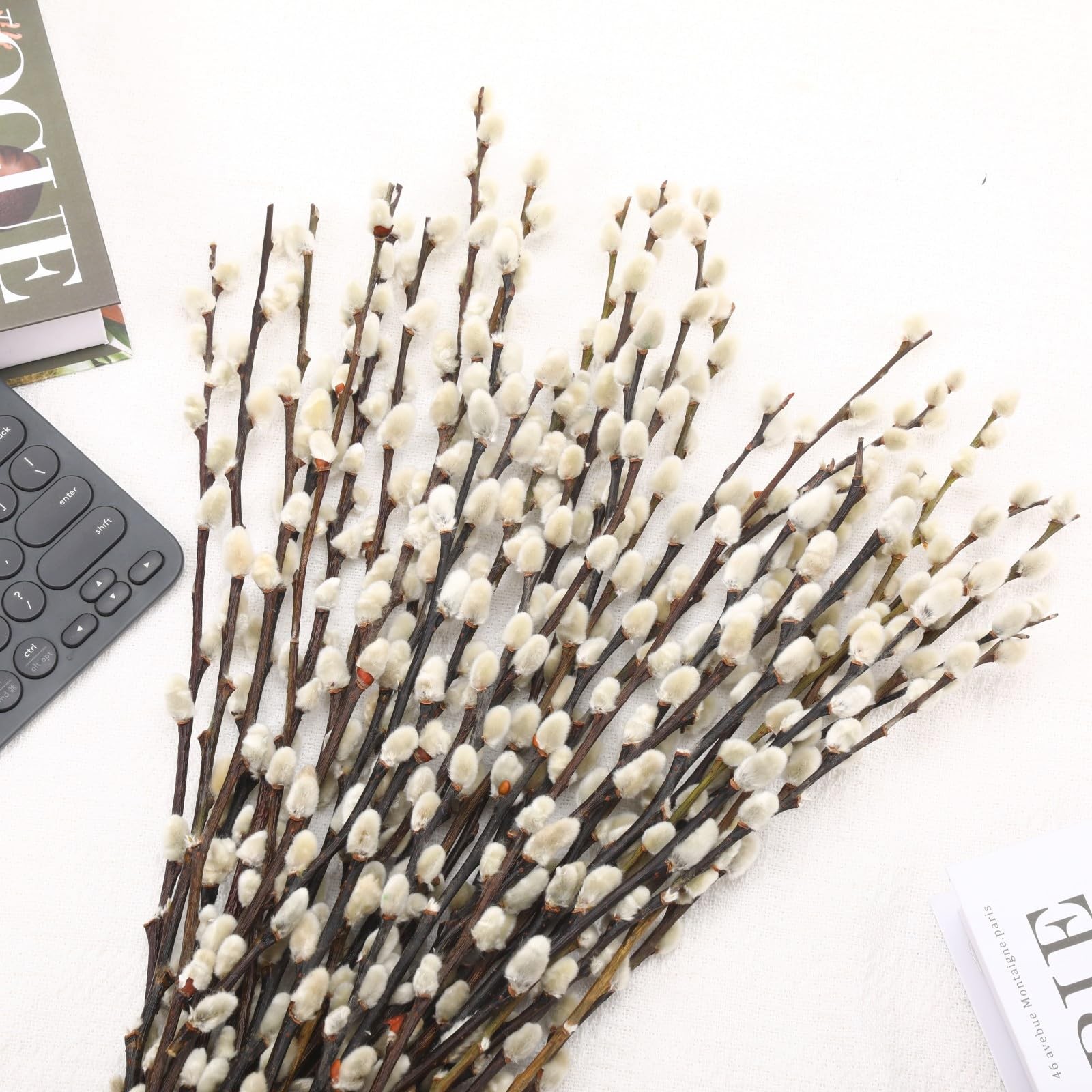 Dried Pussy Willow Branches – 30 Stems, 17″ Natural Decor for Vases & Weddings