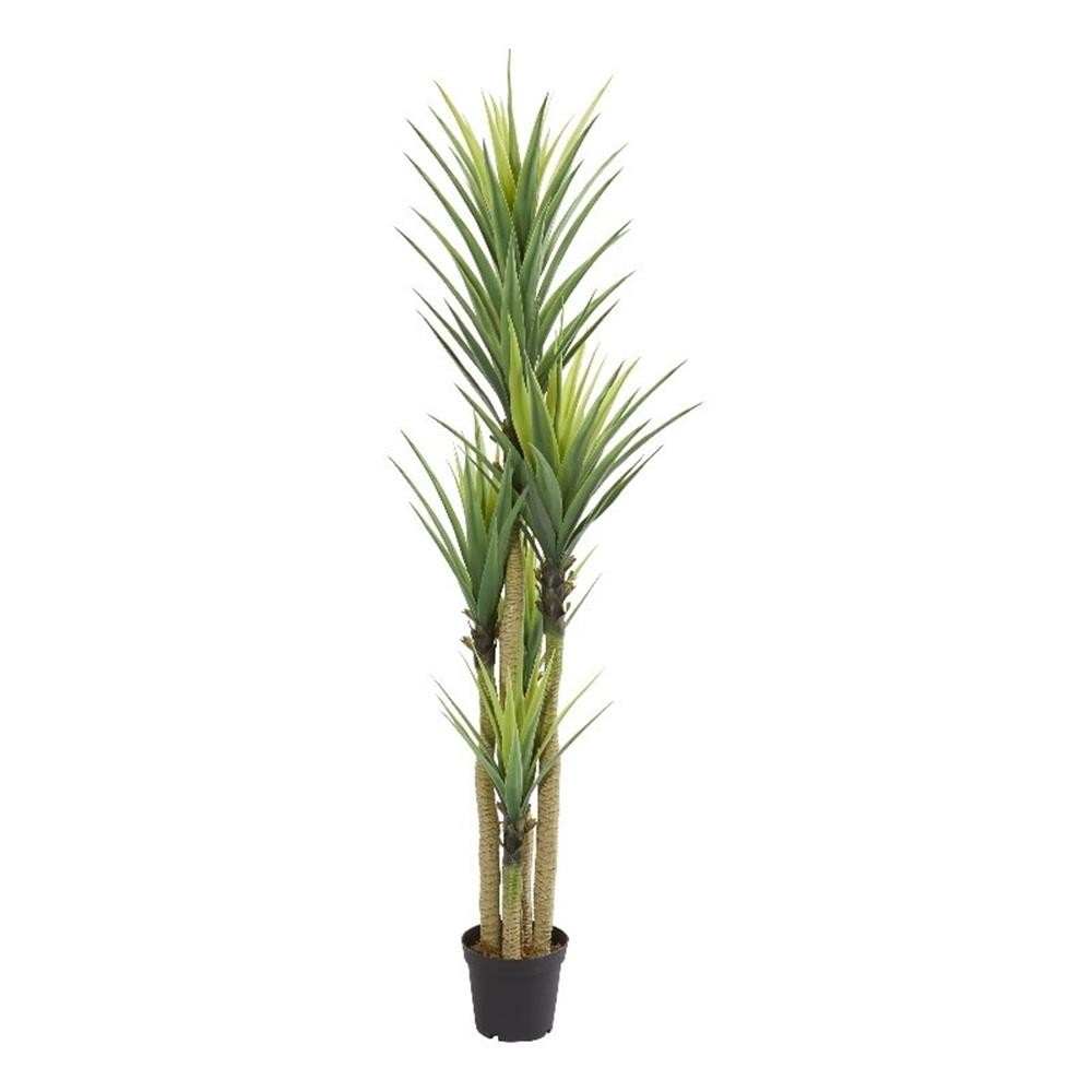 Nearly Natural Dracaena Artificial Plant in Green
