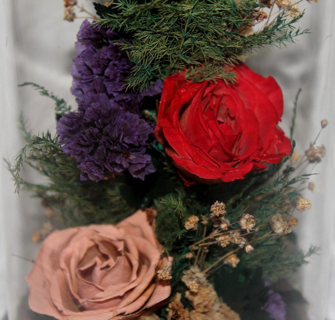 Natural Expressions – Real Freeze-Dried Rose Floral Arrangement in 8″ Glass Dome