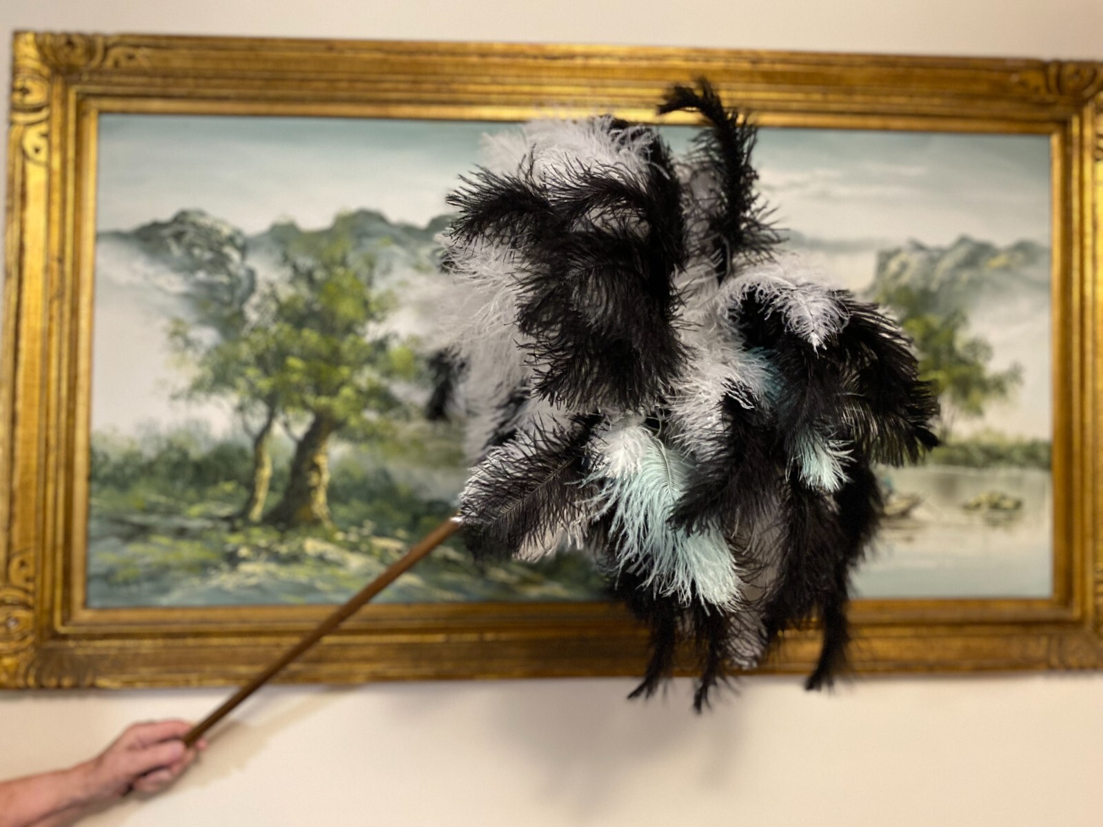 First grade ostrich feather display 95grm white – black ostrich mint feathers