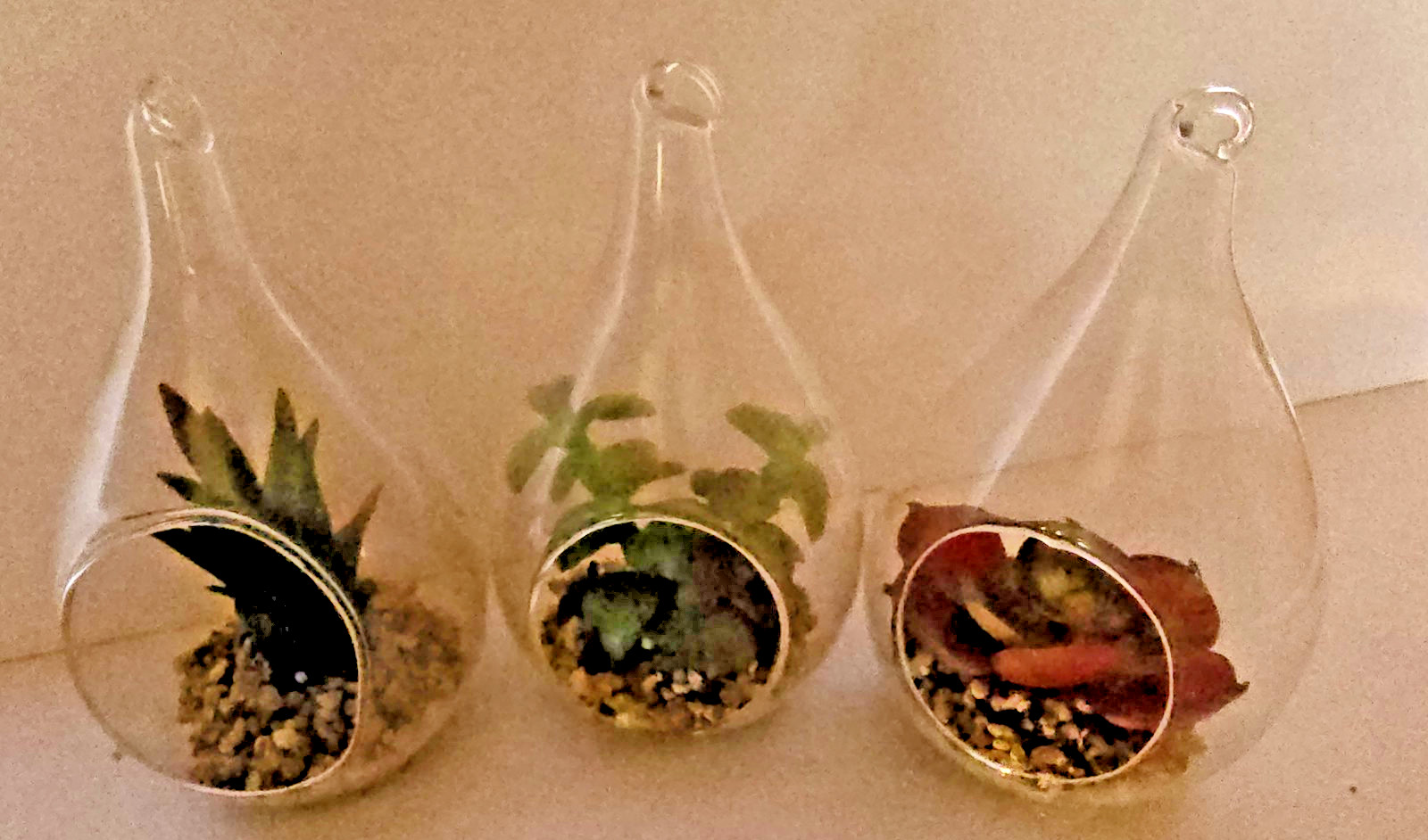 3 Blown Glass Teardrop Hanging Plant Terrarium 5” with landscape