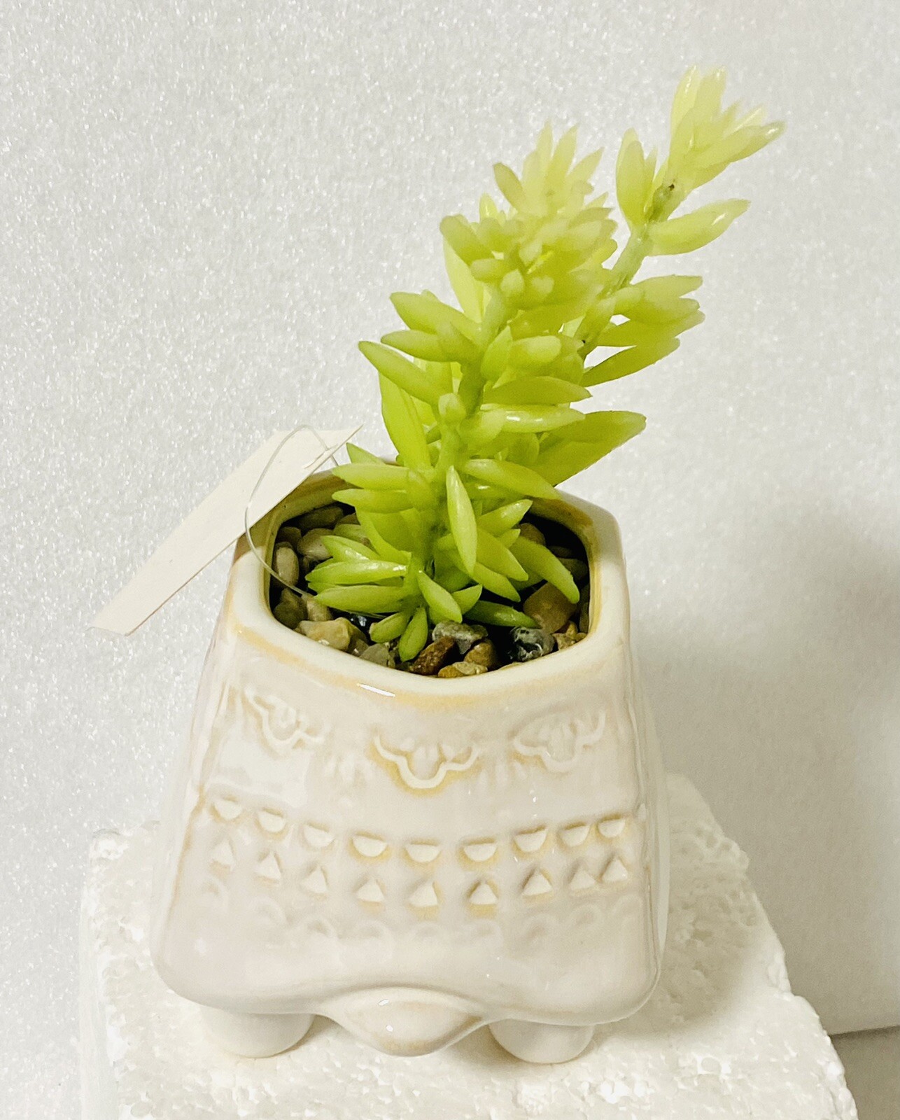 Turtle Ceramic Planter Artificial Succulent Flora Bunda NWT
