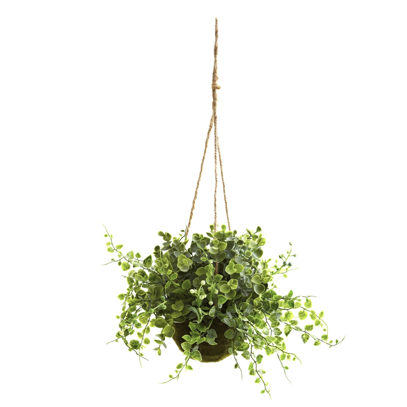 Eucalyptus Maiden Hair Berry Faux Hanging Basket Set of 3 Indoor Decor 9 Inch