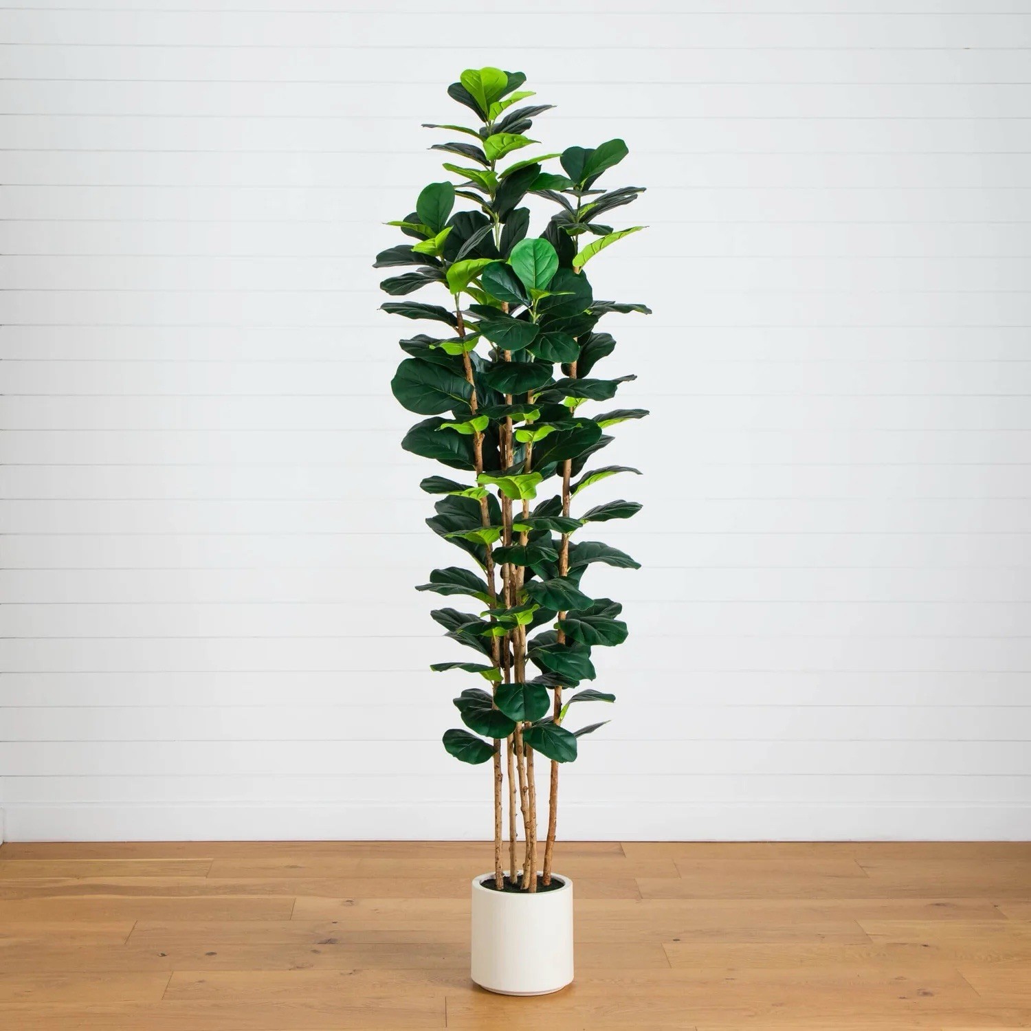 8 Ft. Artificial Fiddle Leaf Tree in Decorative White Planter. Retail $299