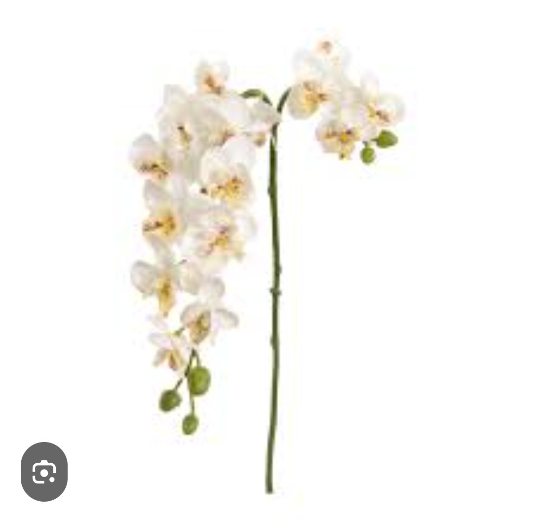 Faux white artificial dancing lady orchid stem