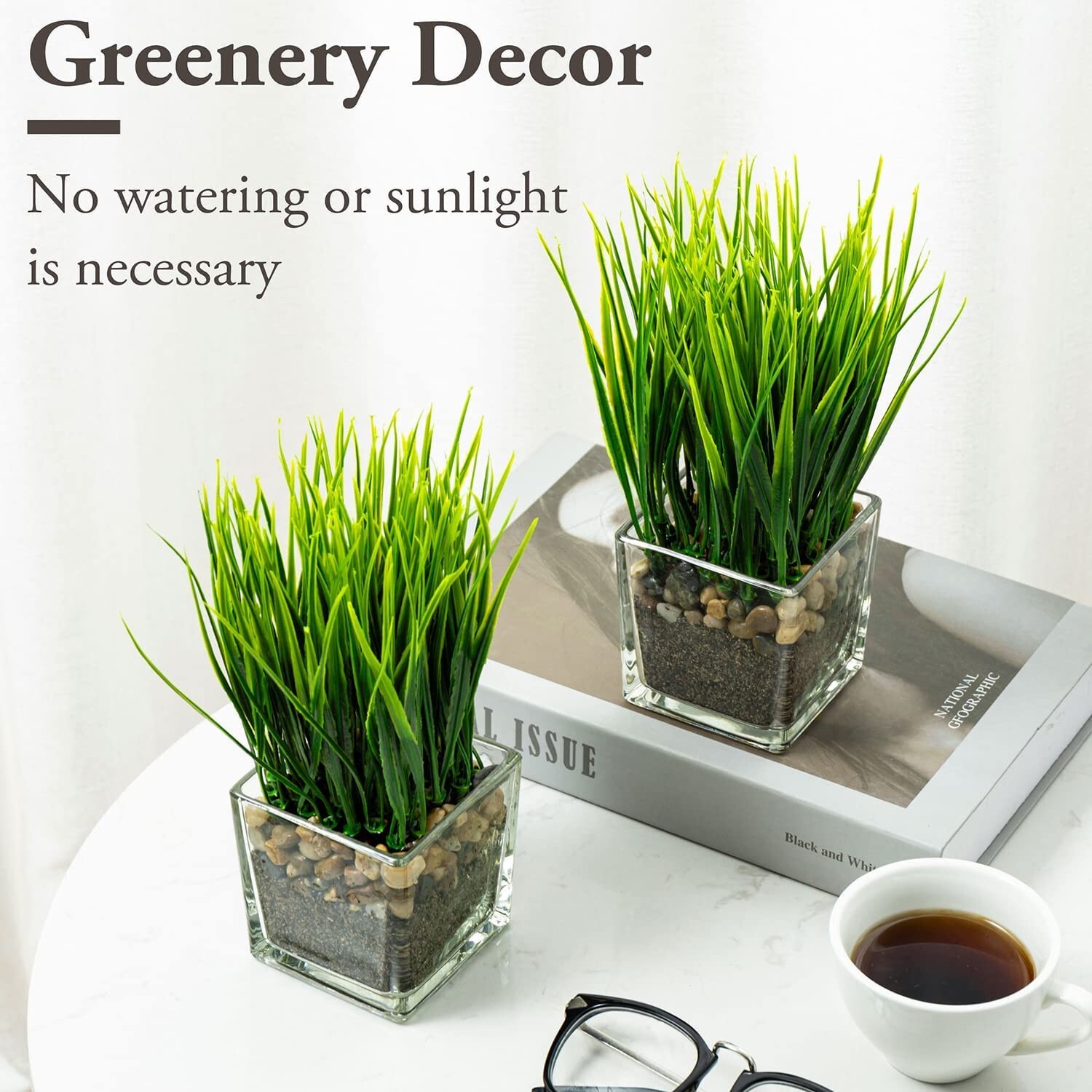 Artificial Grass Plants in Clear Glass Pots w/ Faux Pebbles & Soil, Set of 2