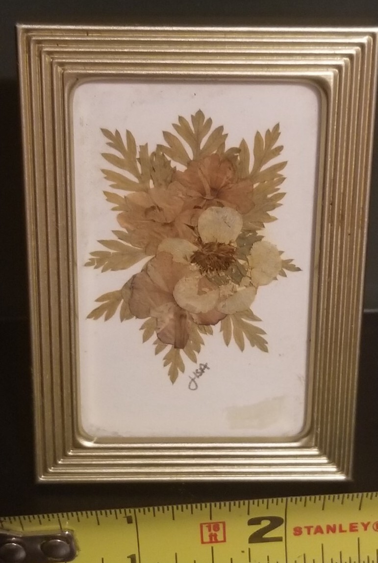 Small 2 3/8″ X 3 3/8″ Press Dried Flower #7 Multicolors Framed FF25