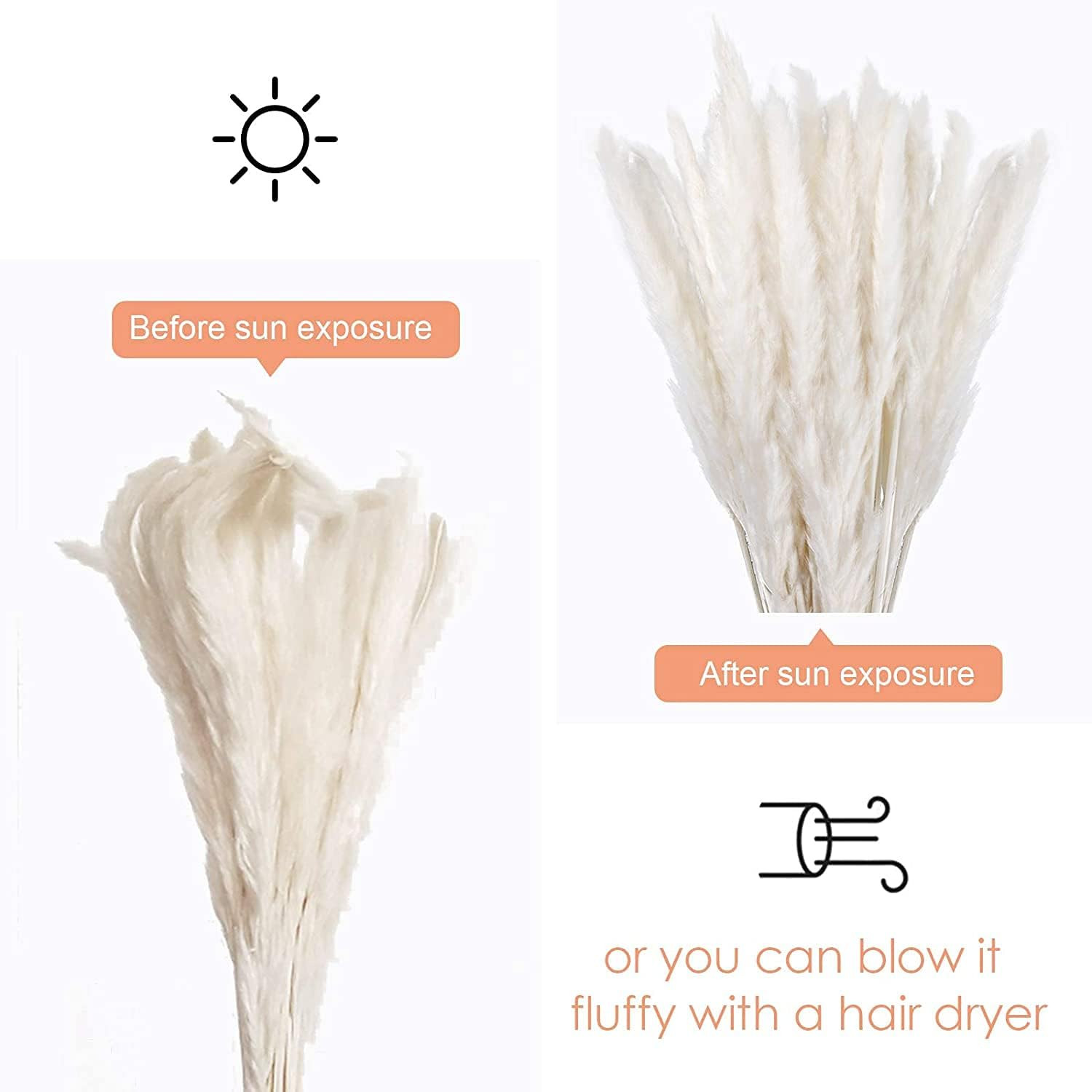 30 Pcs White Pampas Grass ,17 Inch/45 Cm Natural Dried Pampas Grass Branches Dec