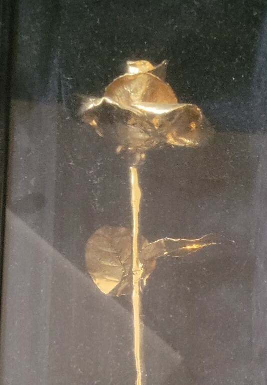 Real 24 Karat Gold Dipped American Rose Valentines mothers day gift