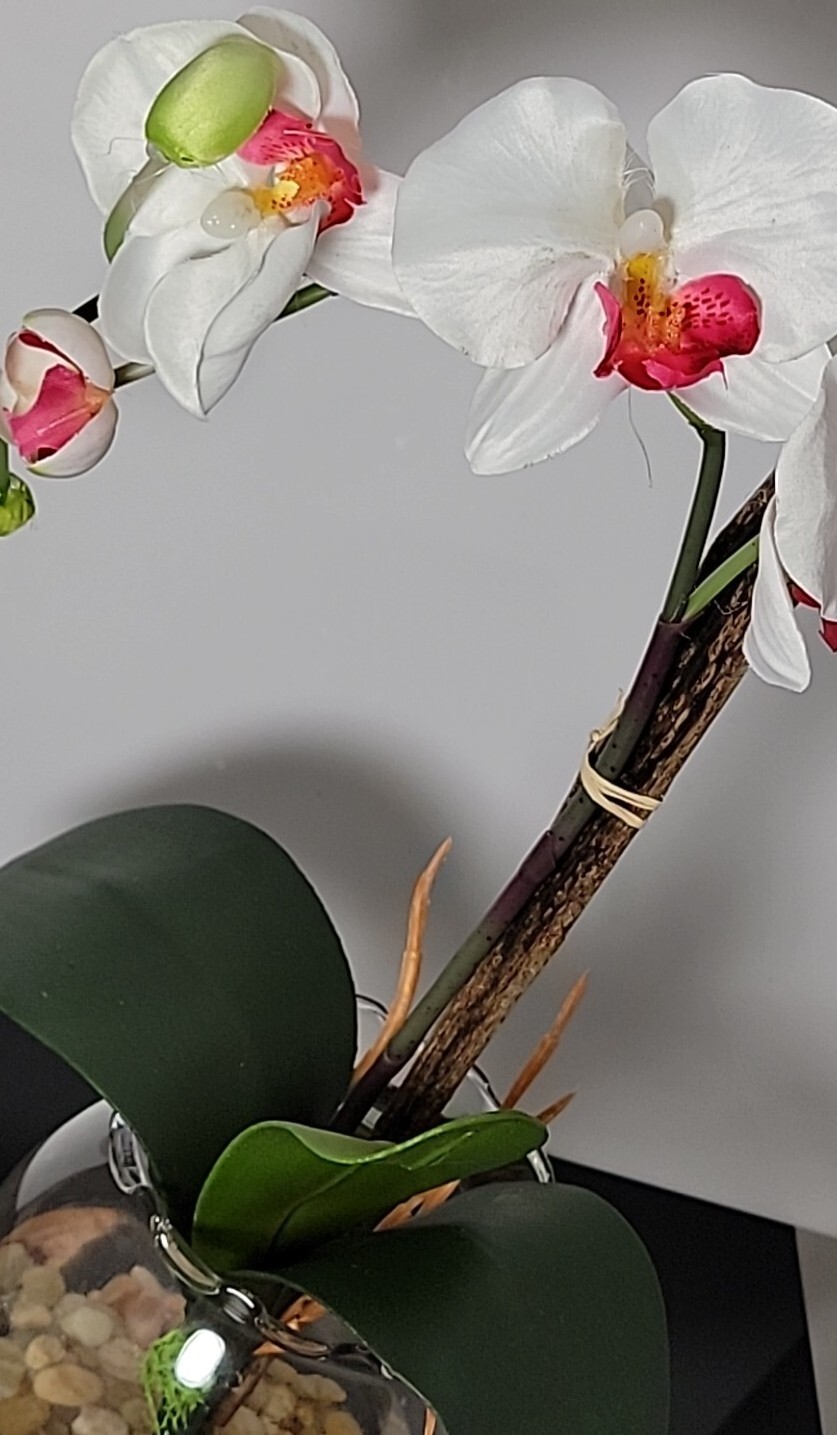 Nearly Natural 1277-WH Mini Phalaenopsis with Fluted Vase Silk Flower Arrangemen