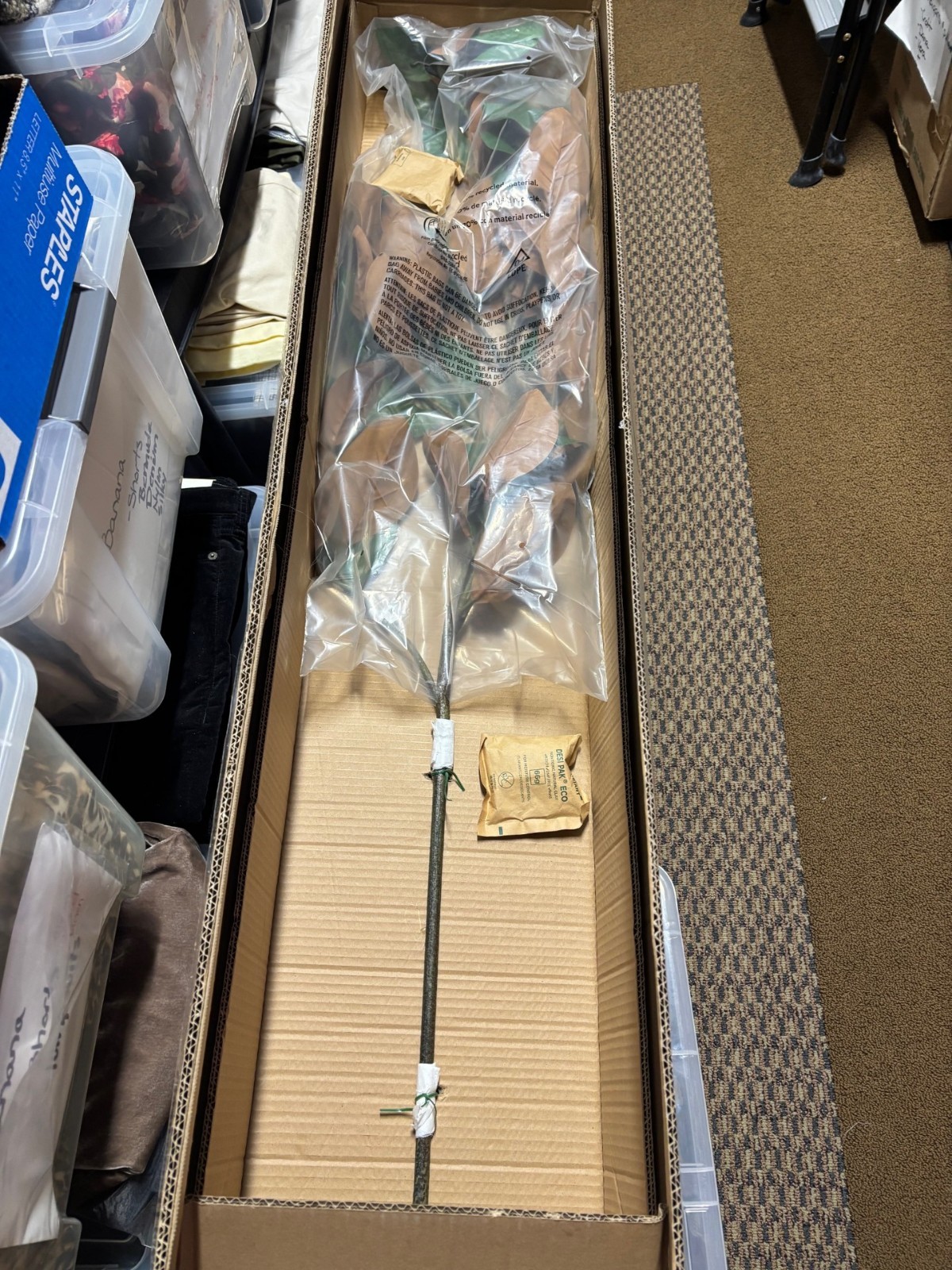 NEW Pottery Barn Faux Oversized Magnolia Branch 57″ Long 50 Leaves NWT