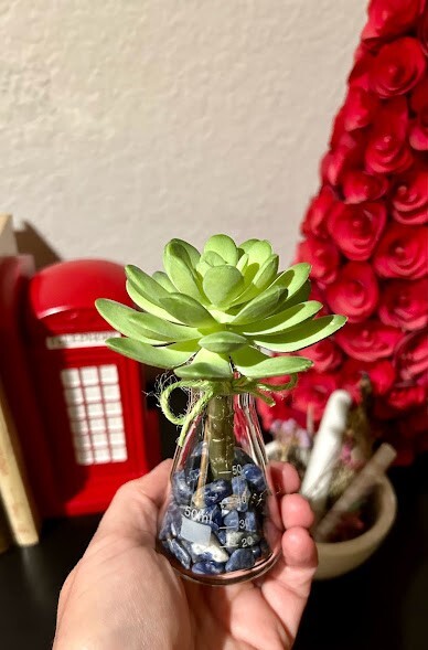 Artificial Potted Succulent Flower Green Echeveria Science Decor Lapis Lazuli