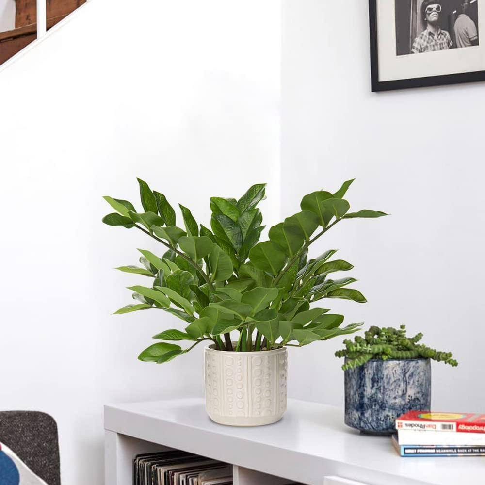 17 In. Artificial Other Plants in Ceramic Pot