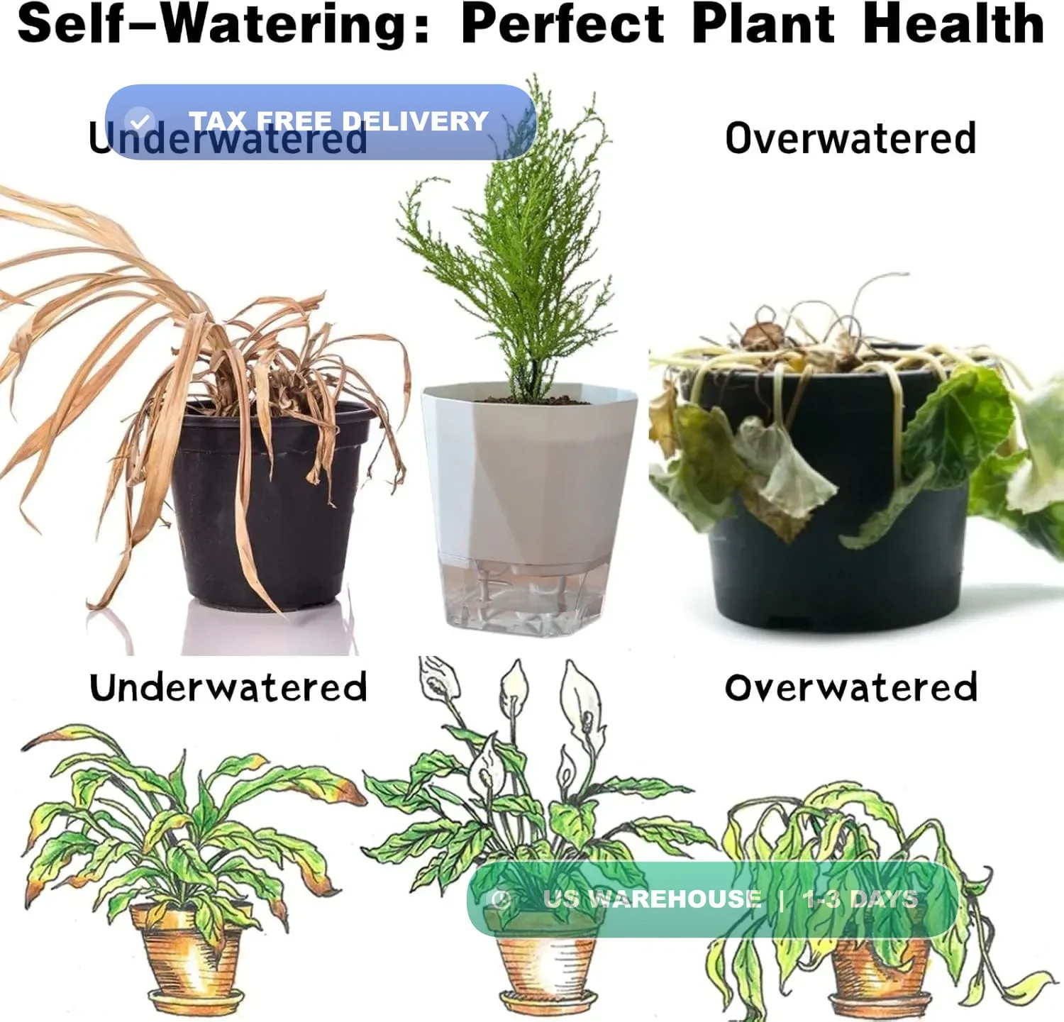 4 Packs Self Watering Plant Pots, Plastic Flower Pots with Drainage Hole and Sau