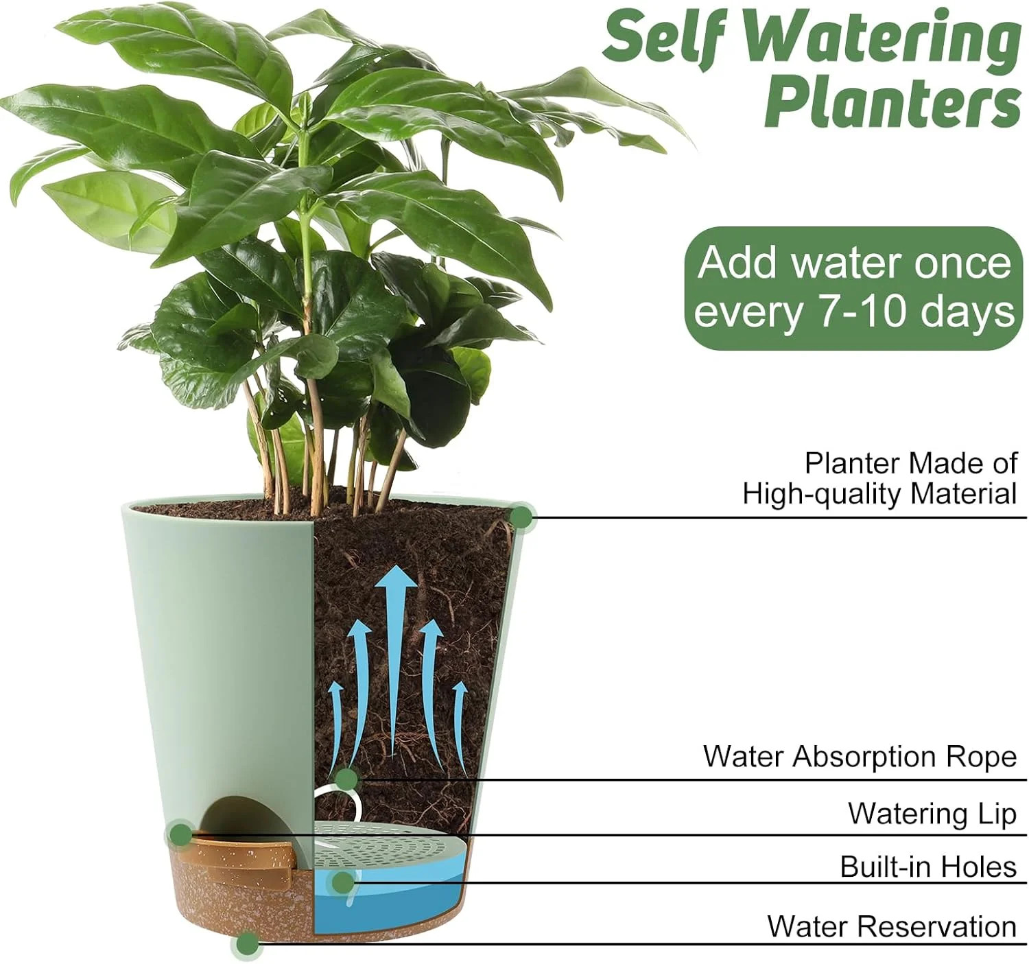 YNNICO 8-Inch Plant Pots, Self-Watering Planters with Drainage Holes & Saucers f