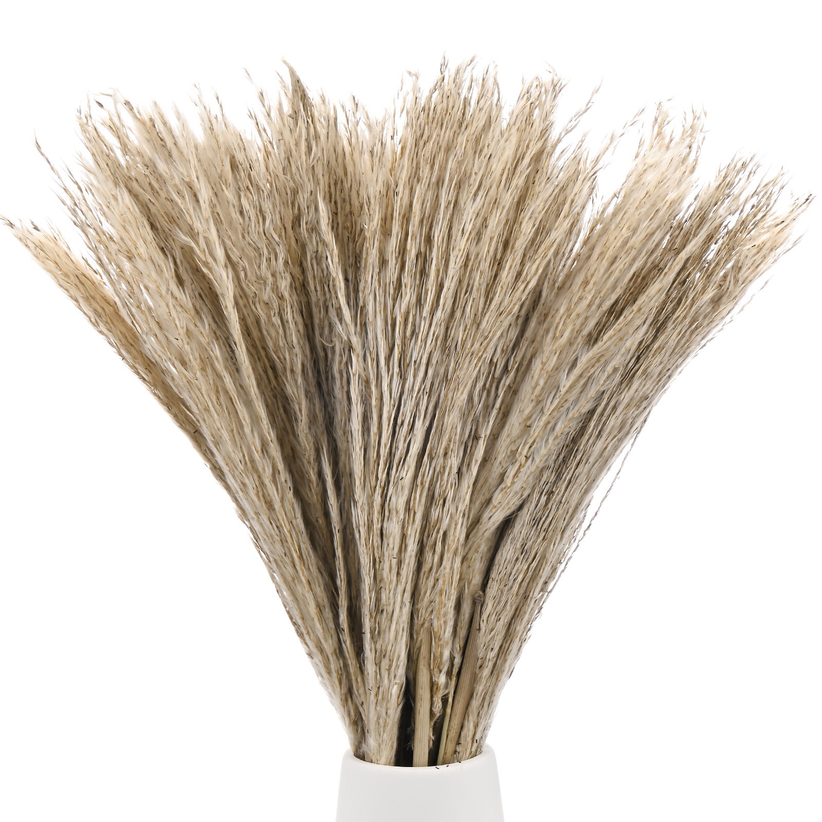50-Pack Faux Pampas Grass 16 Inch for Home Decor/Wedding [Natural]