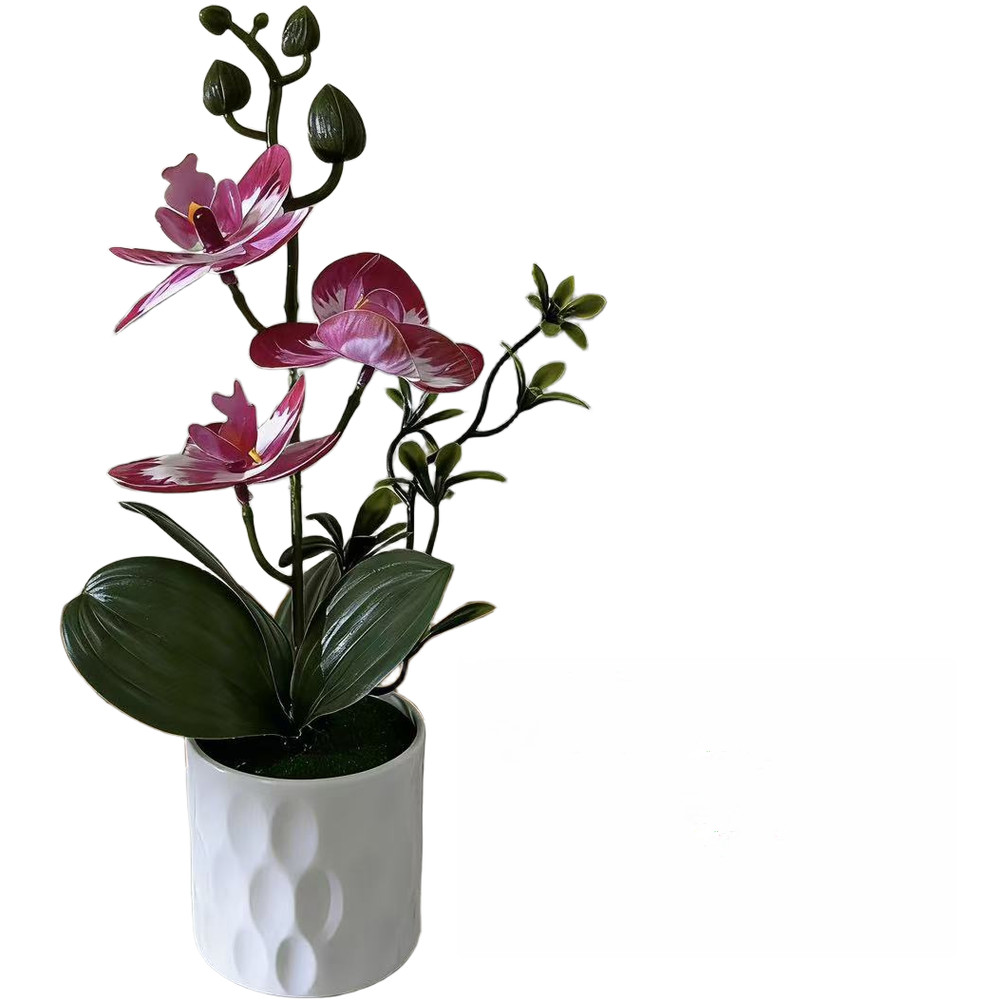Realistic Fake Butterfly Orchid Plant in Pot for Indoor Office Home Decor