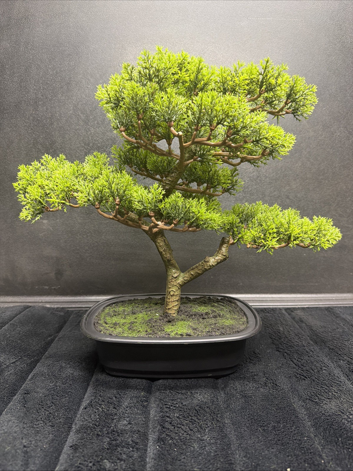 Pure Garden Artificial Bonsai Tree 14.5″ Faux Pine Topiary Potted Plant New