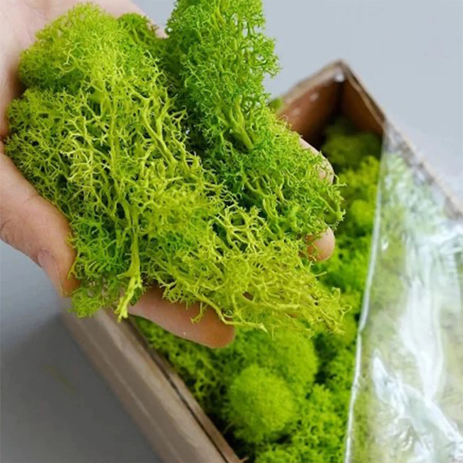 20g Artificial Green Moss Plants Fake Grass Eternal Life Grass Mini Landscape