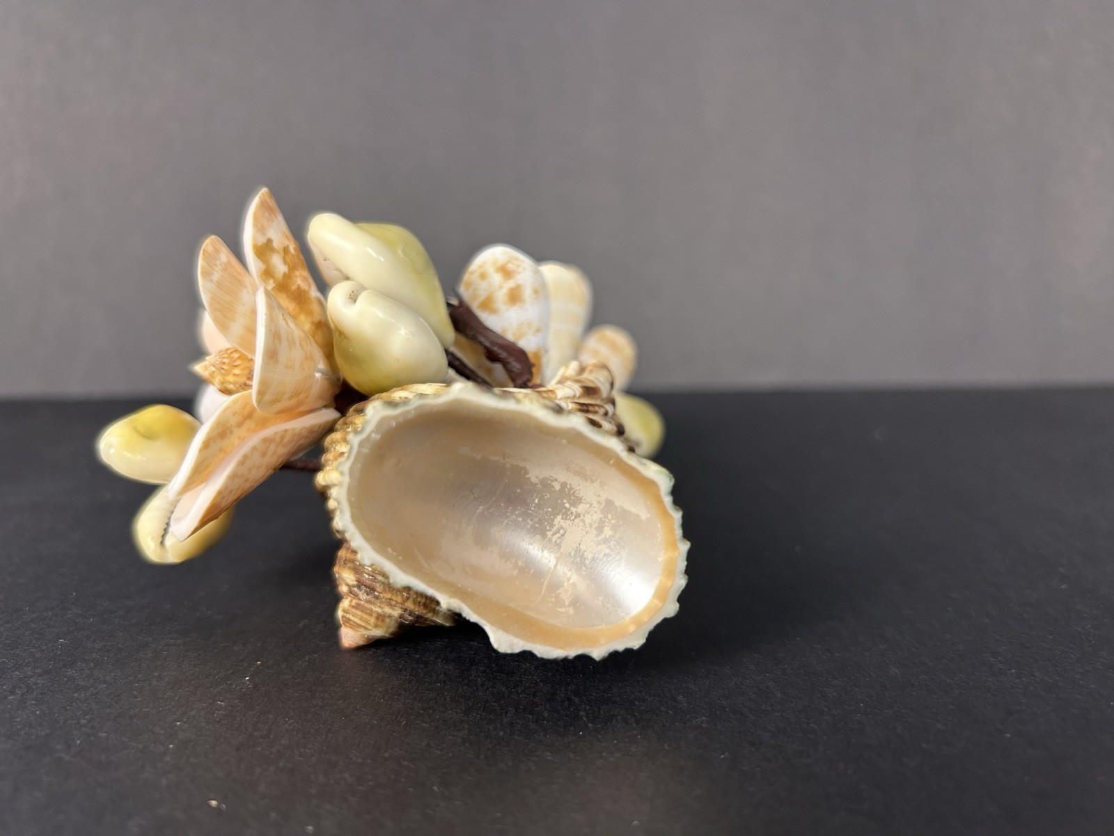 Vintage Cottagecore Kitschy Hand Made Sea Shell Floral Arrangement 6”x4”